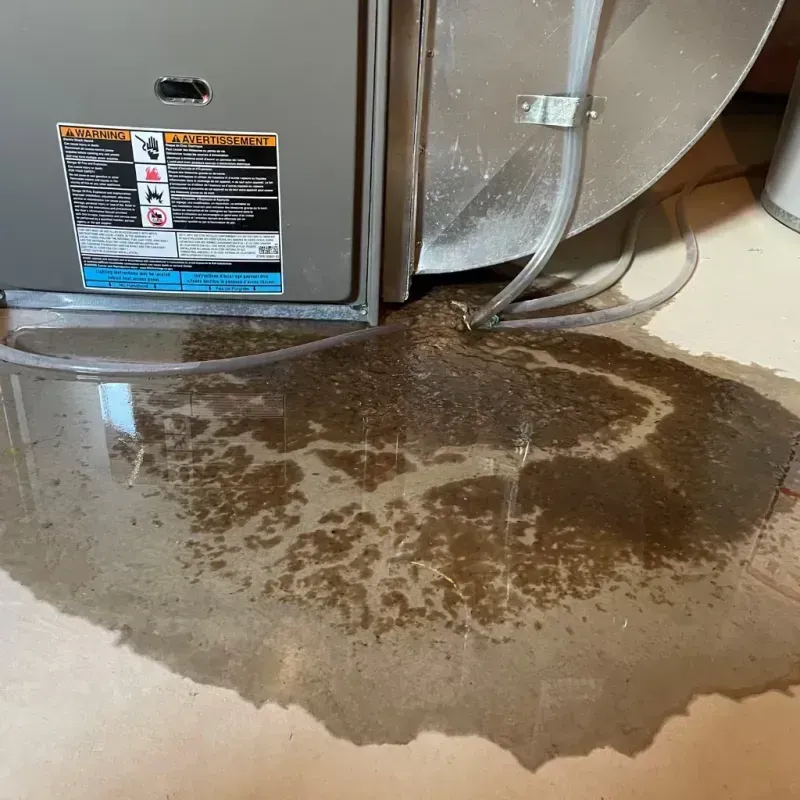 Appliance Leak Cleanup in Fayetteville, NC